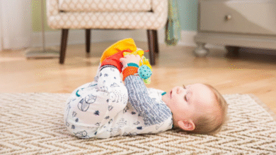 Lamaze Gardenbug Foot Finder and Wrist Rattle Set